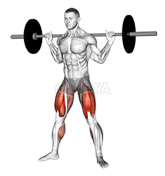 Barbell sumo squat demonstration