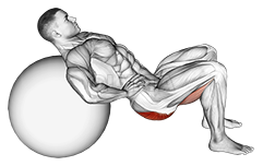 Lying Hip Lift demonstration