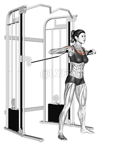 Cable Standing Chest Press demonstration