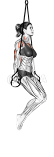 Suspension Triceps Dip demonstration