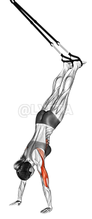 Suspension Handstand Push-up demonstration