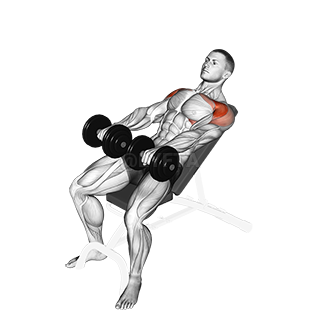 Incline Front Raise demonstration