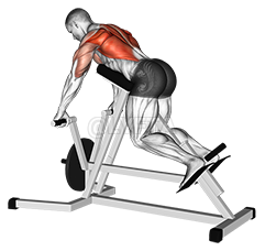 Lever Lying T-bar Row demonstration