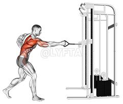 Cable Twisting Standing Row demonstration