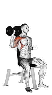 Dumbbell Seated One Arm Shoulder Press demonstration