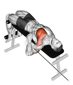 Cable Decline One Arm Press demonstration