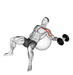 Dumbbell Incline One Arm Fly on Exercise Ball demonstration