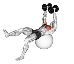 Dumbbell One Leg Fly on Exercise Ball demonstration