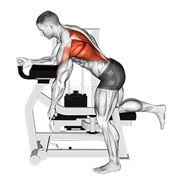 Lever Unilateral Row demonstration