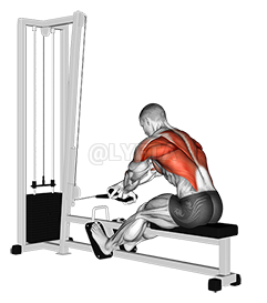 Cable Rope Crossover Seated Row demonstration