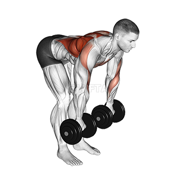 Palm Rotational Bent Over row demonstration