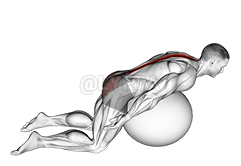 Exercice Bole Back Extension Na Maboko Etangi demonstration