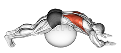 Exercise Ball Lower Back Stretch demonstration