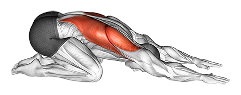 Back Stretch demonstration