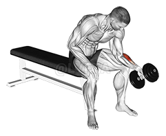 One Arm Seated Neutral Wrist Curl demonstration