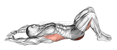 Pelvic Tilt Into Bridge demonstration