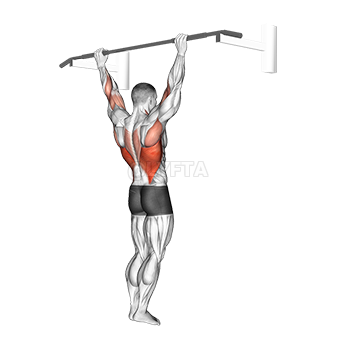 Wide Grip Pull-Up demonstration