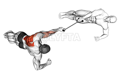 Band Side Plank Row with Partner demonstration