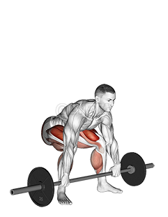 Barbell Snatch Deadlift demonstration