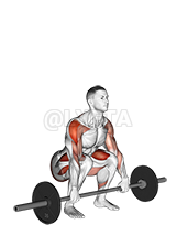 Barbell Squat to Upright Row demonstration
