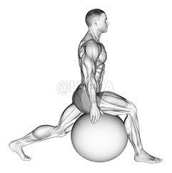 Exercise Ball Hip Flexor Stretch demonstration