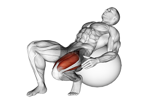 Exercise Ball Seated Quad Stretch demonstration