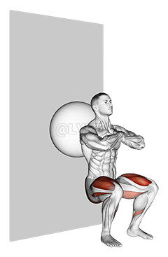 Exercise Ball Wall Squat demonstration