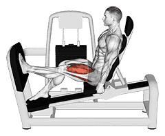 Lever Seated One Leg Squat demonstration