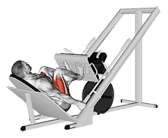 Sled 45├╕ Narrow Stance Leg Press demonstration