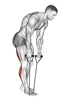 Standing Hamstring and Calf Stretch with Strap demonstration