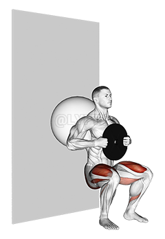 Weighted Exercise Ball Wall Squat demonstration