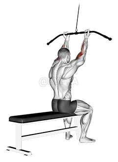Cable Pulldown Bicep Curl demonstration