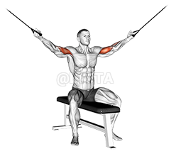 Cable Seated Overhead Curl demonstration