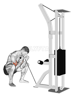 Cable Squatting Curl demonstration