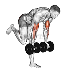 Dumbbell Bicep Curl With Stork Stance demonstration