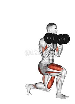 Dumbbell Lunge with Bicep Curl demonstration