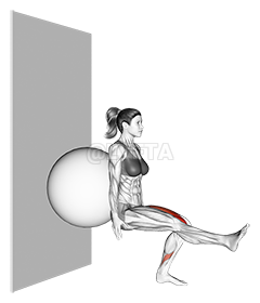 Stability Ball Single Leg Squat demonstration