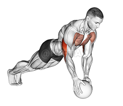 Medicine Ball Close Grip Push Up demonstration