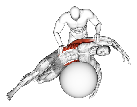 Assisted Oblique And Latissimus Dorsi Stretch On Stability Ball demonstration