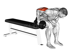 Dumbbell Seated Bent Over Triceps Extension demonstration