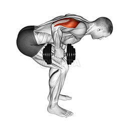 Dumbbell Standing Bent Over One Arm Triceps Extension demonstration