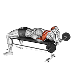 Lying Close Grip Barbell Triceps Press To Chin Exercise Guide and Video 