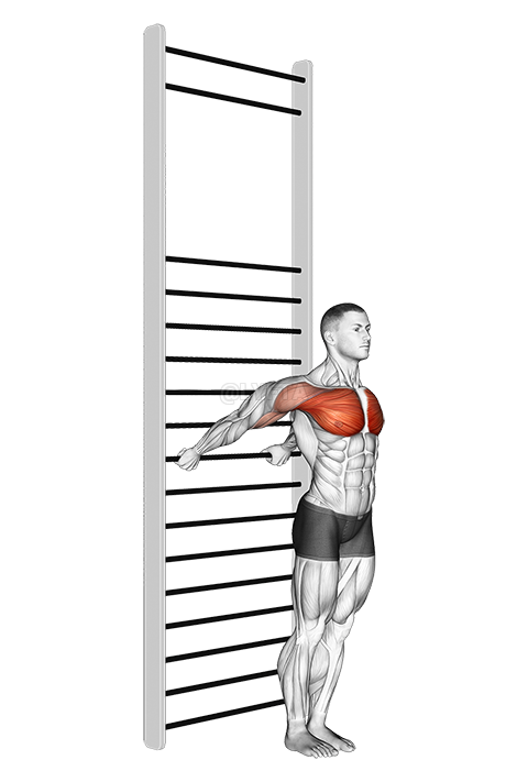 Standing Chest Stretch demonstration