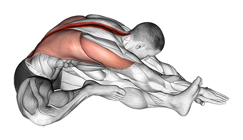 Sitting Side Reach Stretch demonstration