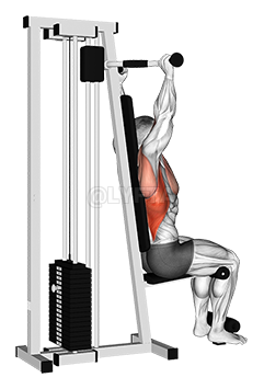 Lever Cable Rear Pulldown demonstration