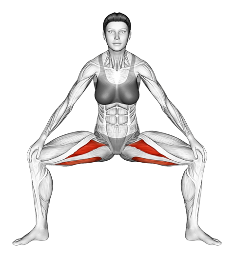Standing Wide Knees Adductor Stretch demonstration