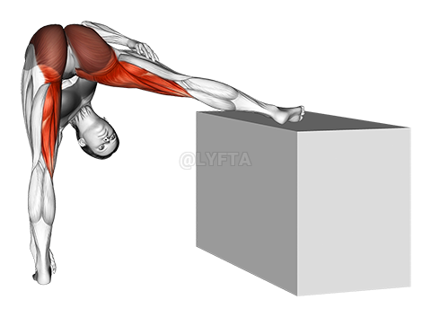 Hip Abduction / Adduction: with Knee Flexion (Supine)