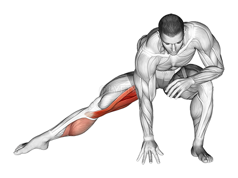 Standing Bent Knee Hip Adductor Stretch demonstration