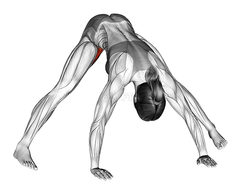 Standing Wide Leg Adductor Stretch demonstration