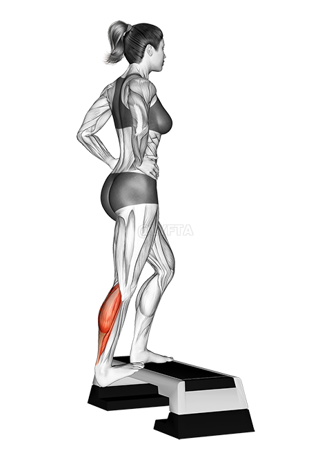 Single Heel Drop Calf Stretch demonstration